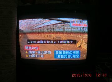 2015年10月6日（火）； 晴れ＜＞曇り_d0051601_00042008.jpg