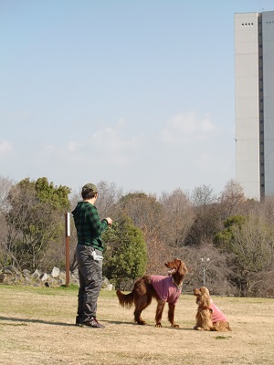 a0134004_957370.jpg