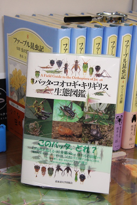 「バッタ・コオロギ・キリギリス生態図鑑」 ＊ ７歳の誕生日_d0136804_9414496.jpg