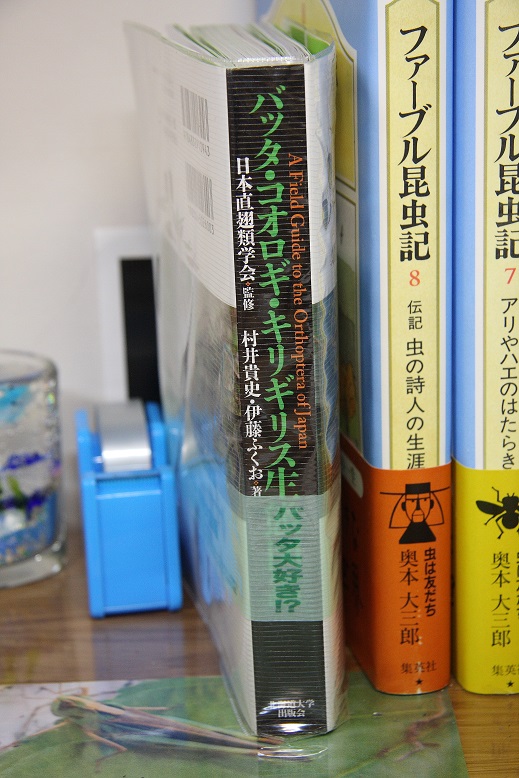 「バッタ・コオロギ・キリギリス生態図鑑」 ＊ ７歳の誕生日_d0136804_9423051.jpg