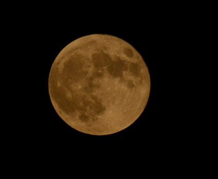 f0008510_17433452.png