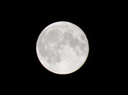 f0008510_1744123.png