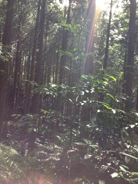 f0170011_3291680.jpg