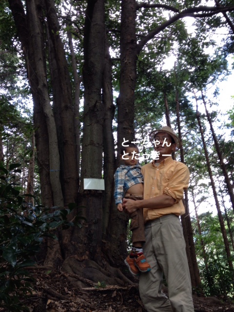 f0170011_433821.jpg