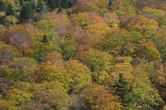 b0301412_18213823.jpg