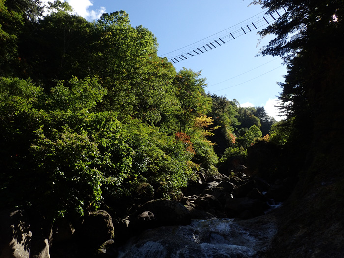 c0110112_2326990.jpg