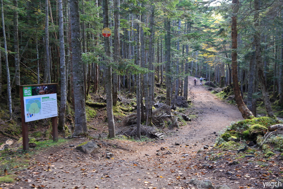 f0157812_14013812.jpg