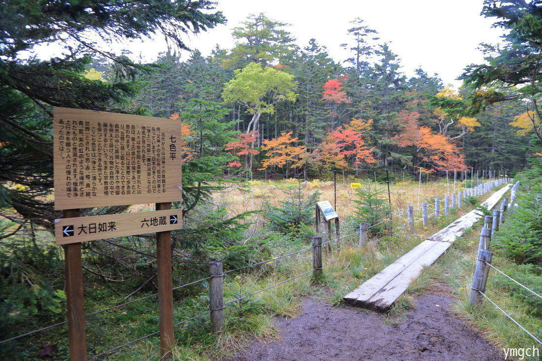 f0157812_14013927.jpg
