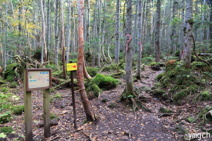 f0157812_14013997.jpg