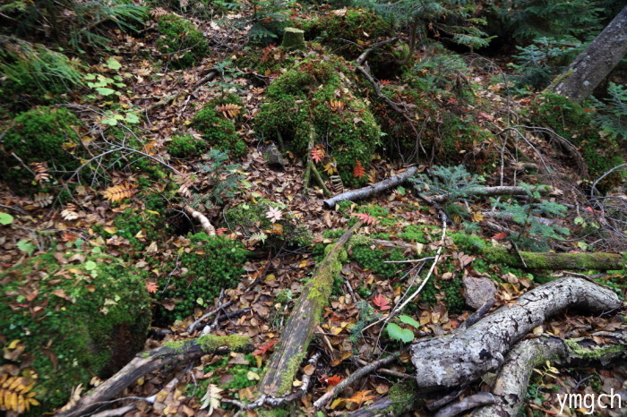 f0157812_14014059.jpg