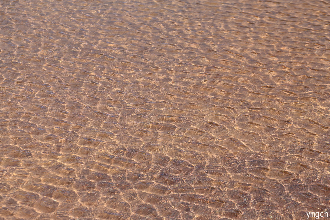 f0157812_14024857.jpg