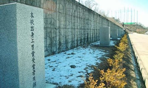ジョーク一発：最後にアベノミクスで平和賞、日本のノーベル賞グランドスラム来るか？_e0171614_9112811.jpg