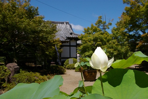 b0275715_0133041.jpg