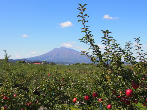 岩木山（弘前市）*2015.10.07_b0147224_17501971.jpg