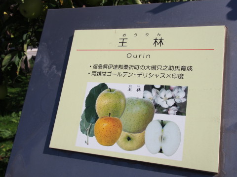岩木山(弘前市)*2015.10.07_b0147224_17524452.jpg