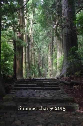 熊野旅⑰　熊野古道をゆく　　_f0195131_22072053.jpg