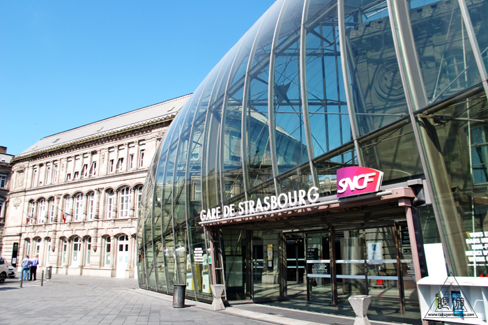 464 Strasbourg ~ストラスブールの野鳥~_c0211532_14281350.jpg