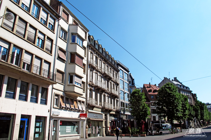 464 Strasbourg ~ストラスブールの野鳥~_c0211532_14294431.jpg