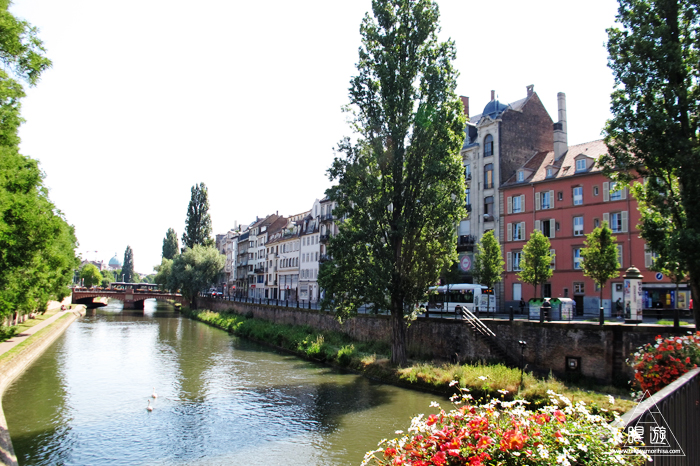 464 Strasbourg ~ストラスブールの野鳥~_c0211532_14372068.jpg