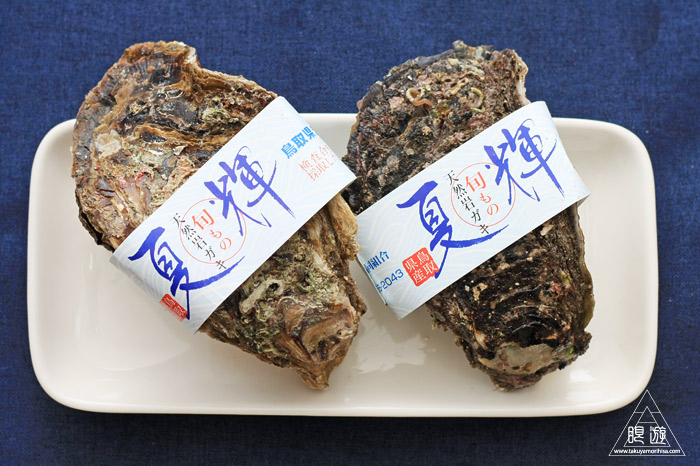 468 松江市 ~また夏輝を食らう~_c0211532_1549436.jpg