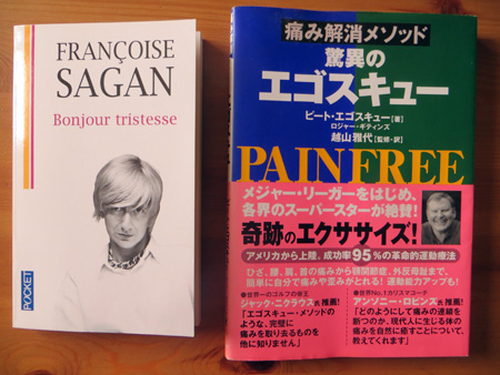 最近の読書とお知らせ、英仏瞑想講座まもなく開始_f0234936_602563.jpg