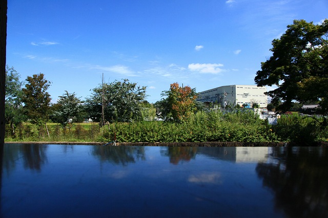 a0242438_18501163.jpg