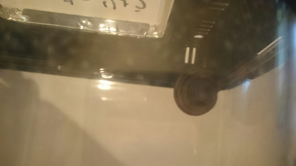 e0059938_17115943.jpg