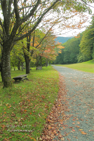 心のサプリメント①**in 県民の森_b0197639_147217.jpg