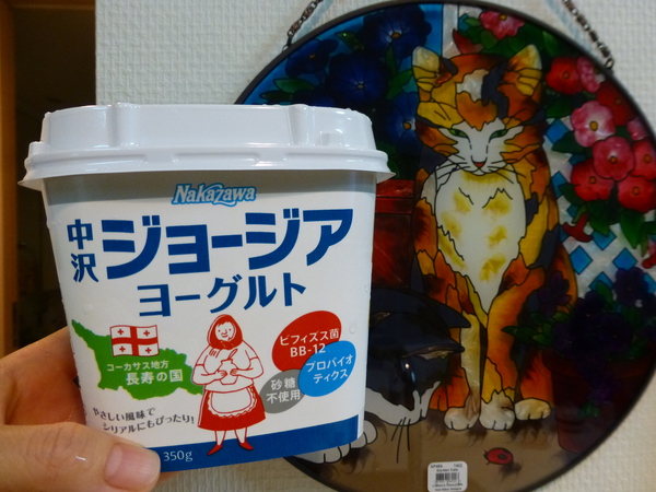 グルジアヨーグルト でじかめ日記 グルジアヨーグルト でじかめ日記