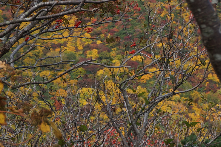 b0233441_1611713.jpg