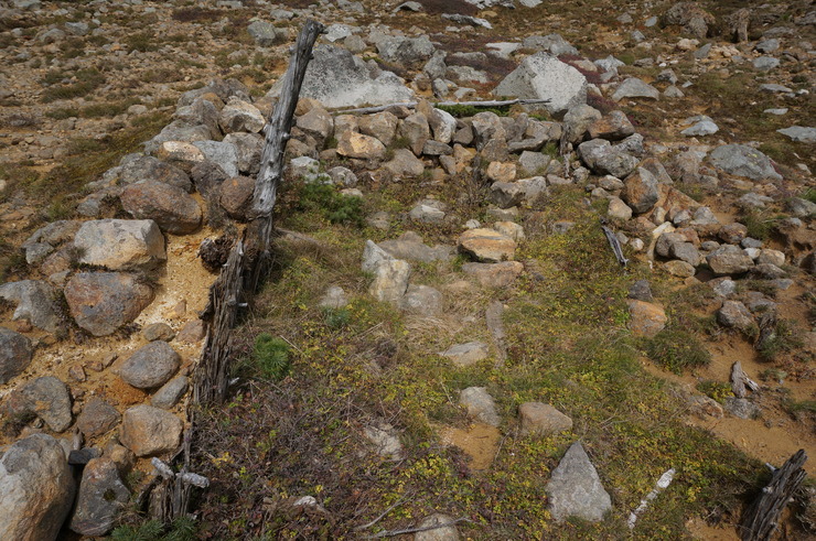 b0233441_1616788.jpg