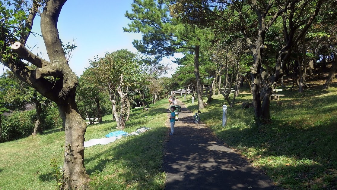 波戸岬キャンプ場へ(2015年10月)_f0201157_22133409.jpg