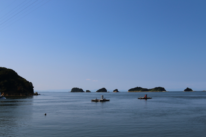 鳥羽湾遊覧船めぐり～イルカ島で。。。伊勢旅行　2_d0152261_9423496.jpg