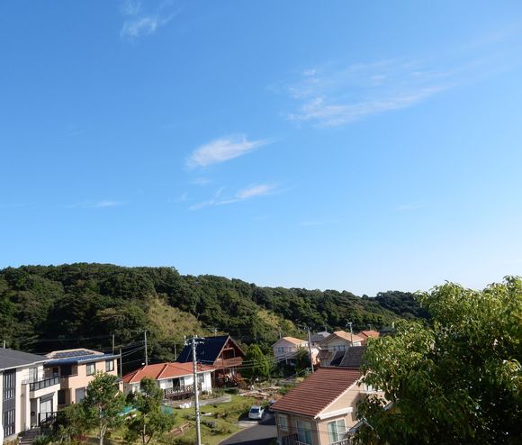 ’15,10,6(火)飛び魚の登る木!_f0060461_1005583.jpg