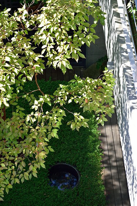 c0213766_23152785.jpg