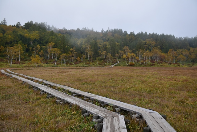 志賀高原　田ノ原湿原の紅葉・2015_f0342371_8371226.jpg