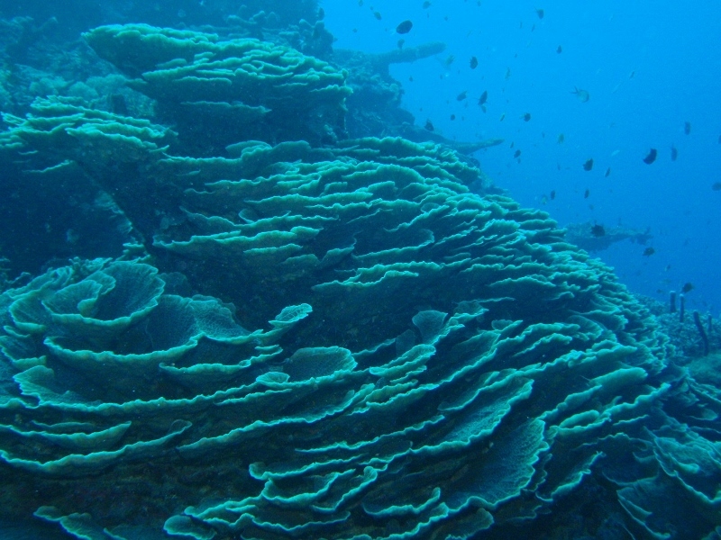 f0075595_23402480.jpg