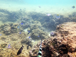 e0227996_03188.jpg
