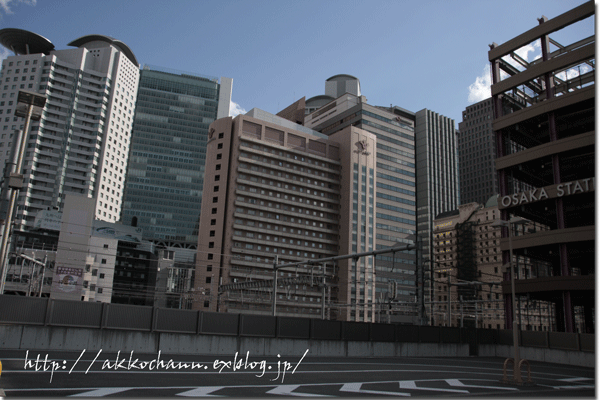 f0128096_8572213.gif