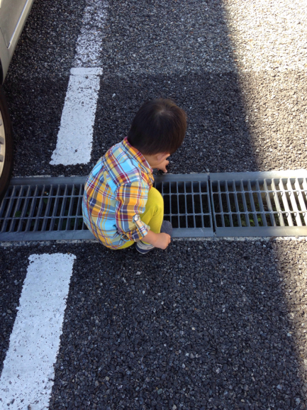 朝から10歳老ける_a0188798_13464295.jpg