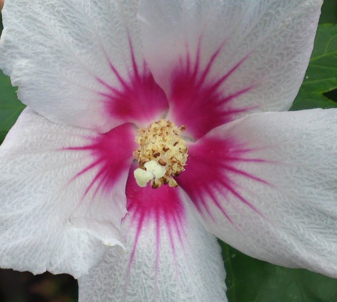 a0031000_17415565.jpg