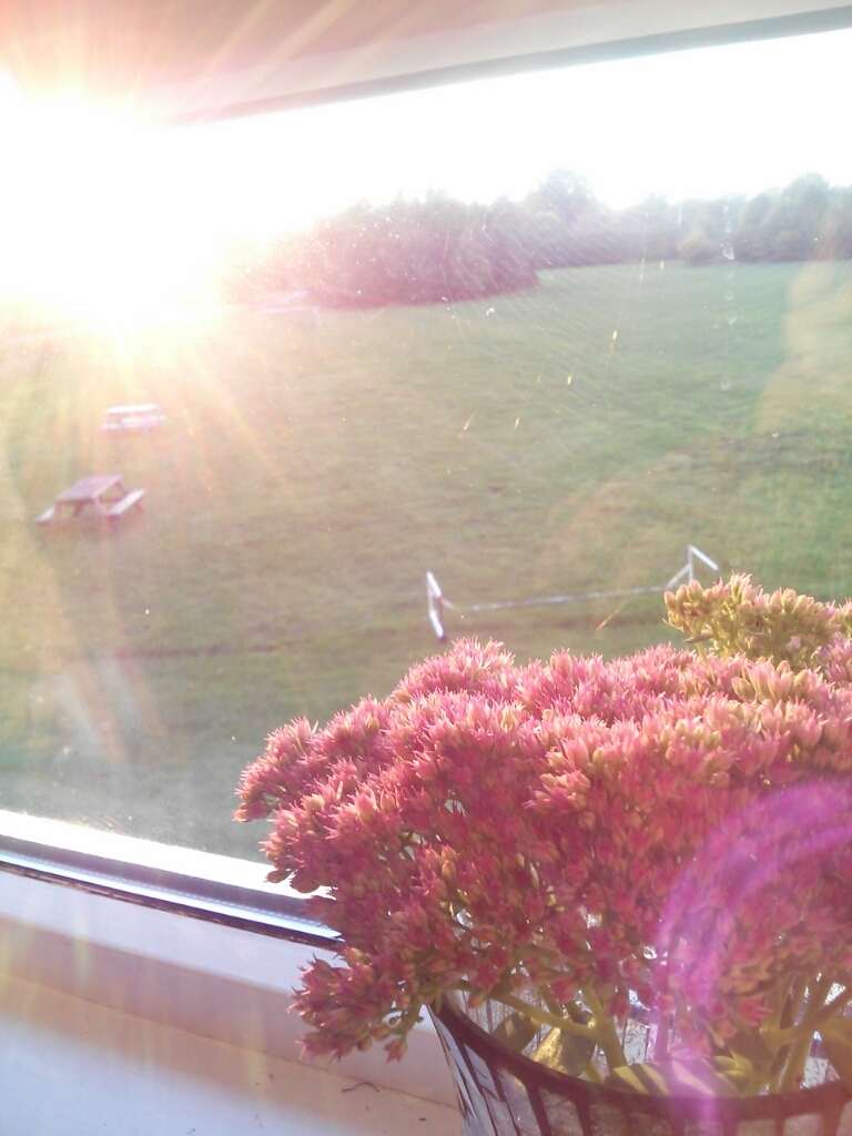 a0256600_09332588.jpg