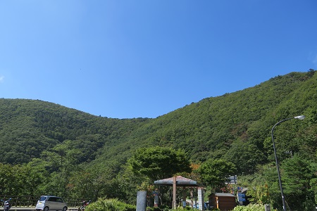 a0158702_1437593.jpg