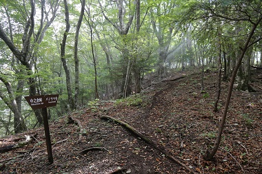 a0158702_1439403.jpg