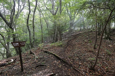 本栖湖中之倉峠～パノラマ台…千円札裏の富士（2015秋）_a0158702_1439403.jpg