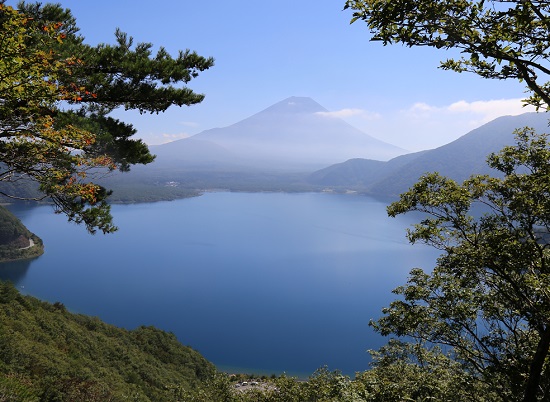 本栖湖中之倉峠～パノラマ台…千円札裏の富士（2015秋）_a0158702_14411021.jpg