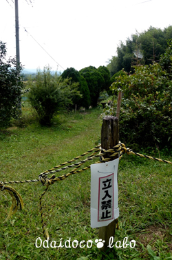 b0238306_21372.jpg