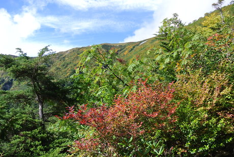 c0242406_1762829.jpg