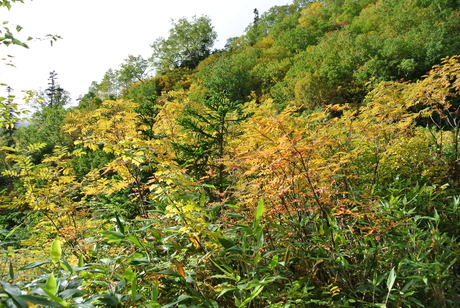 c0242406_177301.jpg