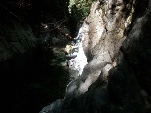 d0342206_23372230.jpg